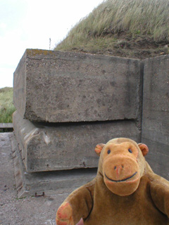 Mr Monkey looking at the Aachen battery observation post