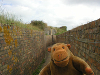 Mr Monkey glimpsing the tower of York Minster through some trees 