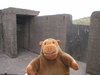 Mr Monkey looking around a gun emplacement