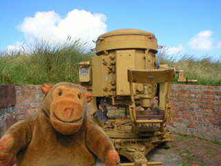 Mr Monkey looking at a seachlight