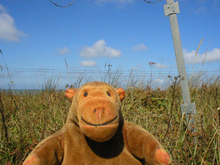 Mr Monkey looking out of one of the escape hatches