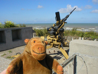 Mr Monkey looking at a Flak xx anti aircraft gun