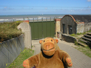 Mr Monkey looking at the main entrance to the Saltzwedel Neu battery