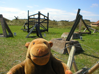 Mr Monkey looking at a collection of beach defences