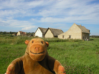 Mr Monkey looking at a row of medieval cottages