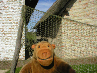 Mr Monkey looking at nets drying in front of medieval houses