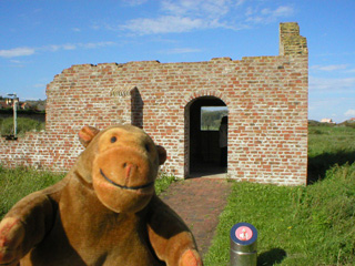 Mr Monkey walking towards a ruined building