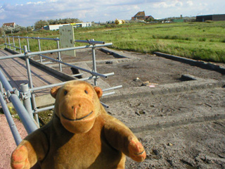 Mr Monkey looking at the recreated archaeological site