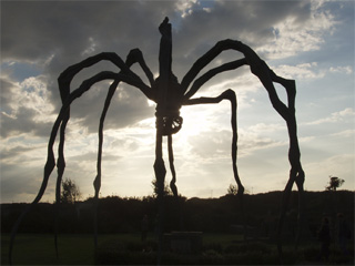 The spider silhouetted against the clouds