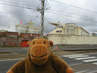 Mr Monkey looking across the road at the Wellington racecourse
