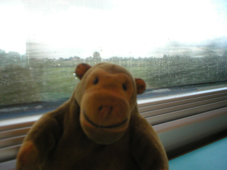 Mr Monkey looking out of the train window in the rain