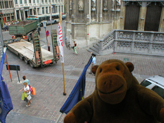 Mr Monkey watching a low-loader from his hotel window
