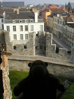 Mr Monkey looking at the curtain wall from the keep stairs