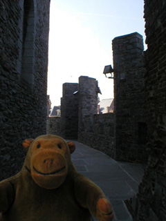 Mr Monkey looking at small towers on the ramparts