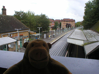 Mr Monkey looking down on the newer station buildings