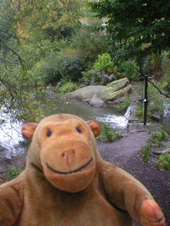 Mr Monkey looking at a Mosasaurus