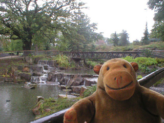 Mr Monkey looking at a waterfall with a bridge over it