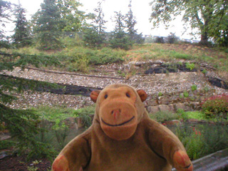 Mr Monkey looking at some geological strata