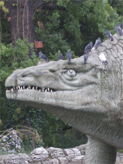 Birds sitting on the head of the Megalosaurus