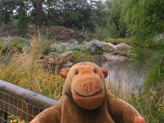 Mr Monkey looking at a pair of Labyrinthodons