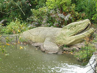 A large lizard-like creature lolling in the water