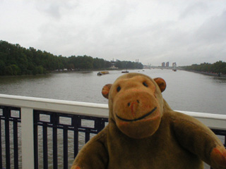 Mr Monkey looking at the Battersea Peace Pagoda