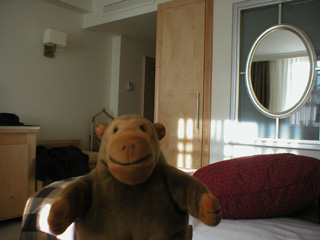 Mr Monkey in his hotel room