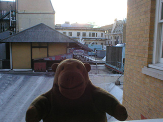 Mr Monkey looking out of his hotel window