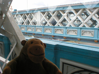 Mr Monkey looking across to the other walkway