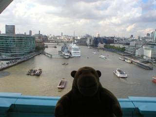Mr Monkey looking west up the Thames