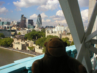 Mr Monkey looking down at the Tower of London