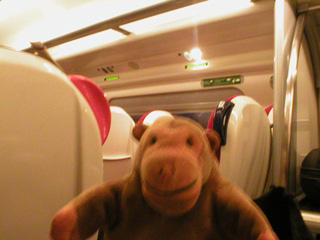 Mr Monkey on the train home