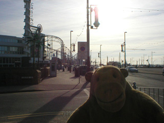 Mr Monkey looking towards the Pleasure Beach
