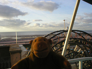 Mr Monkey looking at the sea from the monorail