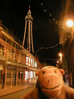 Mr Monkey looking at Blackpool Tower after dark