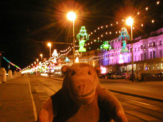 Mr Monkey looking at illuminated sealife on the promenade
