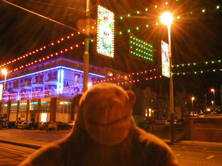 Mr Monkey looking at illuminated Art Nouveau panels