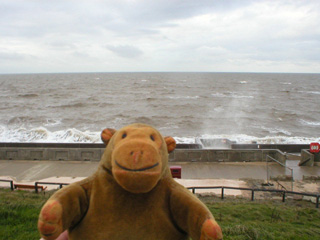 Mr Monkey looking down onto the sea