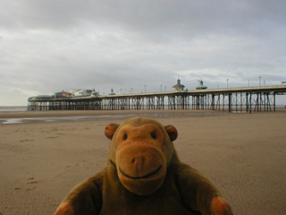 Mr Monkey looking at the North Pier from the beach
