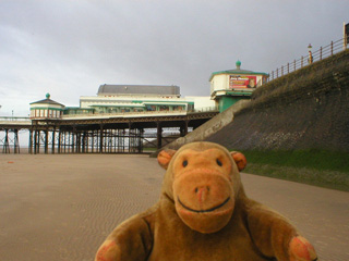 Mr Monkey looking at the pier head from the beach
