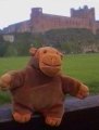 Monkey in front of castle