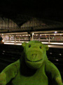 Going home
