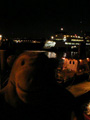 Washington Ferry by night