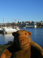 Looking at Lake Union