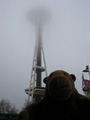 Space Needle and monorail watching