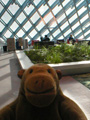 Plants and floors in the Living Room