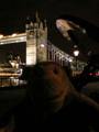 Butler's Wharf and Tower Bridge by night