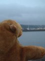 On the seawall at Whitehaven