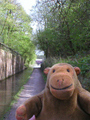 Canal towpath