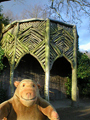 Bark house and little bridge